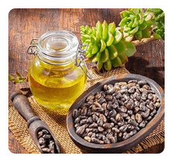 Castor Oil