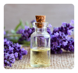 Lavender Oil