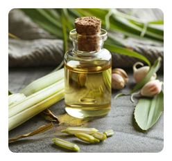 Pure Essential Oils of Lemongrass