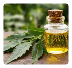 Organic Neem Oil