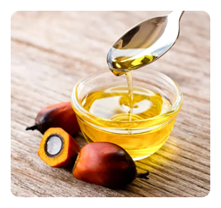 Palm Oil
